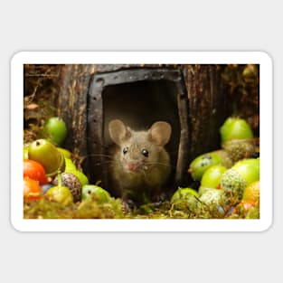 Wild  cute garden mouse Sticker